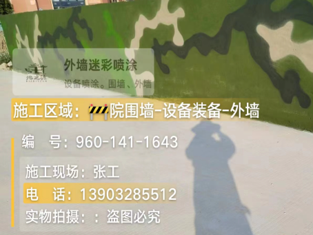 宁波 迷彩漆喷涂价格(按平方米计费)
