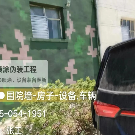 宁波数码迷彩漆施工